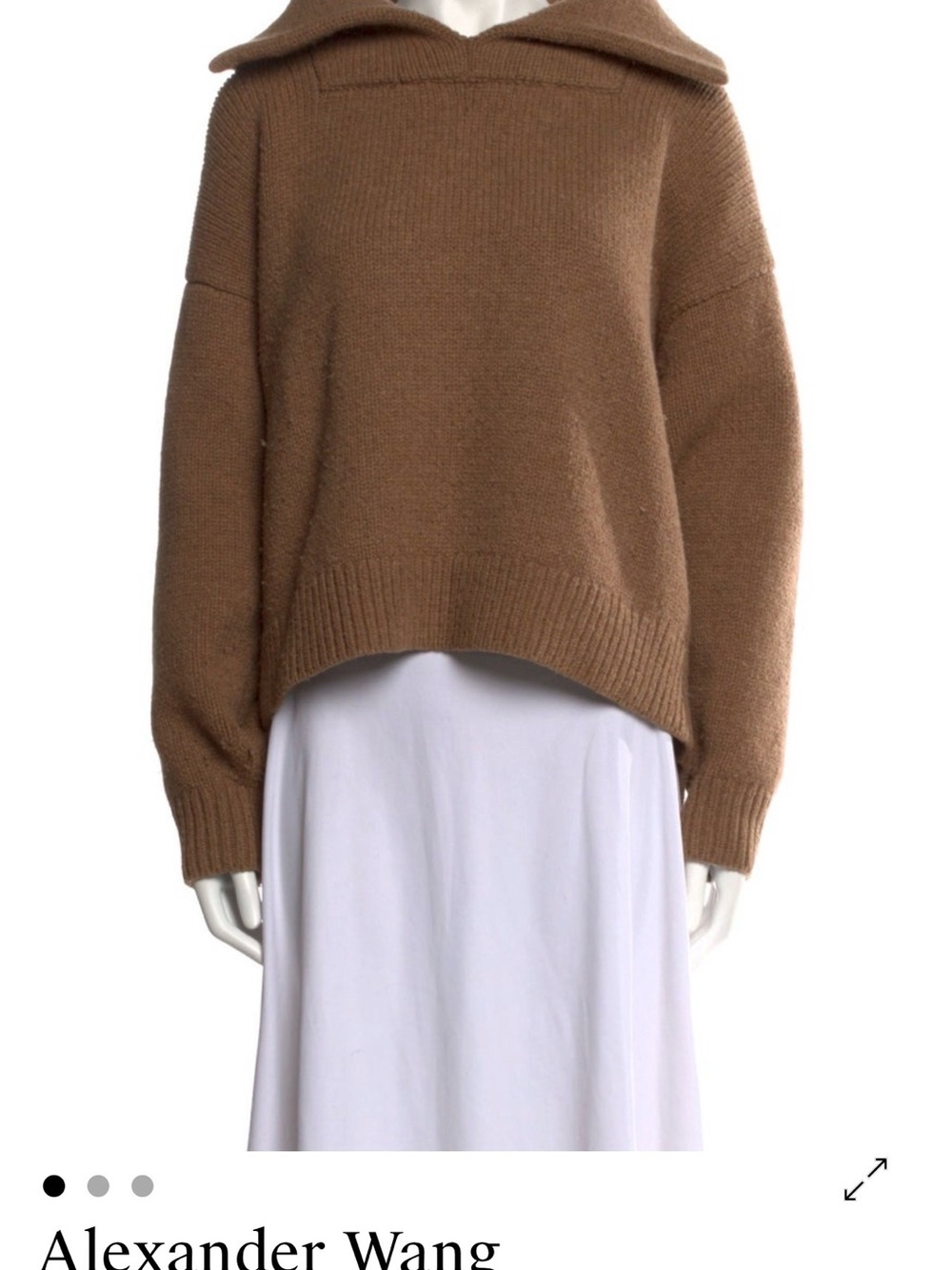Alexander Wang Chestnut Brown Turtleneck Men's Knit Sweater